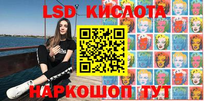 индика Гусев