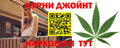индика Гусев