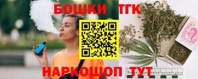 индика Гусев