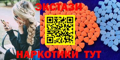 индика Гусев