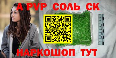 индика Гусев