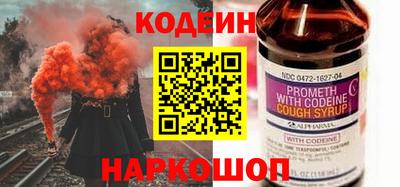 индика Гусев