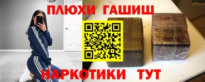 индика Гусев