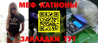 индика Гусев