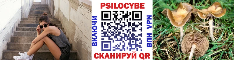 Псилоцибиновые грибы Magic Shrooms  наркотики  Можайск 