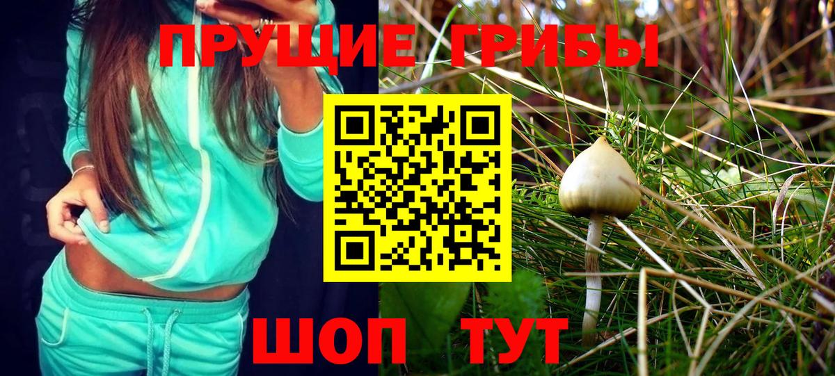 Псилоцибиновые грибы MAGIC MUSHROOMS Можайск